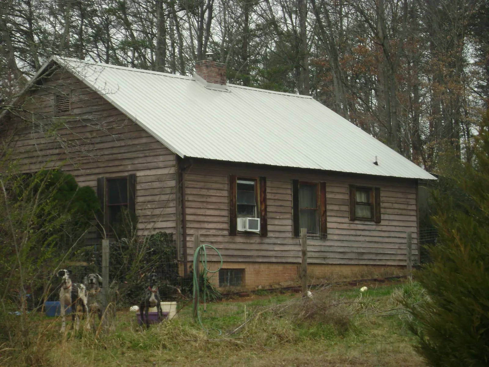 White metal roof on an old wood sided farmhouse, from a Asphalt Shingle Roof Repair job in Gold Hill